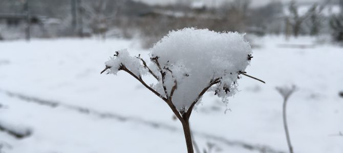 Wasser absperren nicht vergessen!